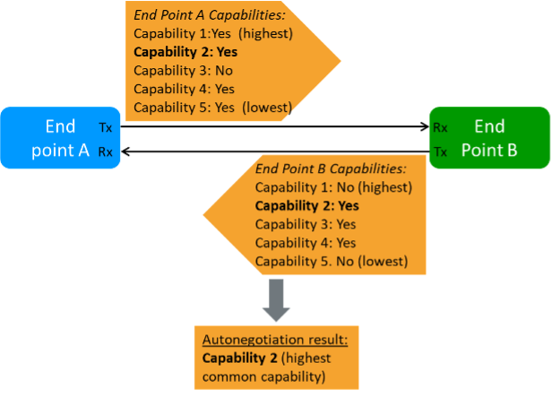 ../_images/autoneg_process.png